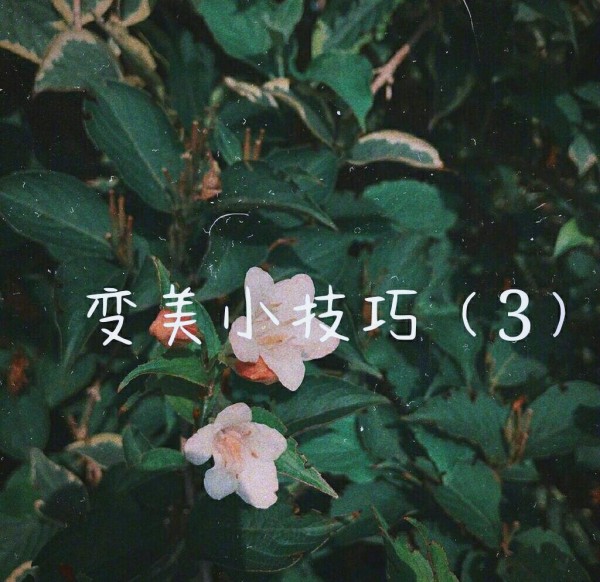 25个实用生活小技巧，快来看看吧