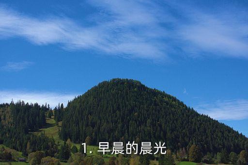 1. 早晨的晨光