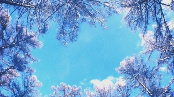 拍摄生活之美：一位素人摄影师的故事