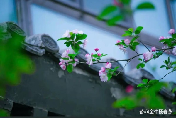 用欣赏的眼光看世界