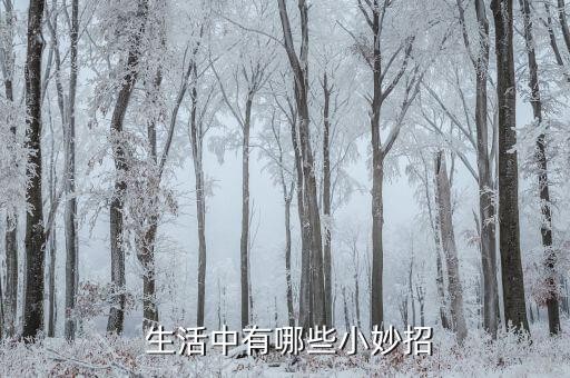 生活小窍门100妙招