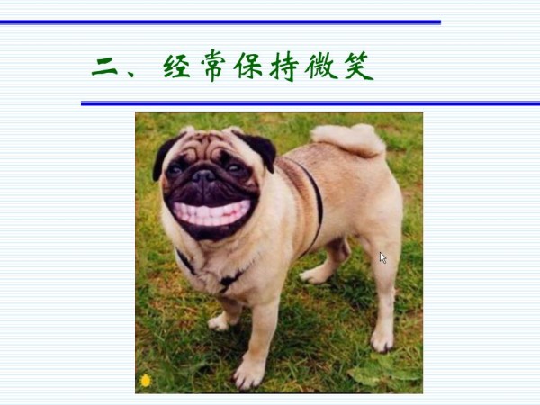 快乐的19种技巧.ppt_第3页