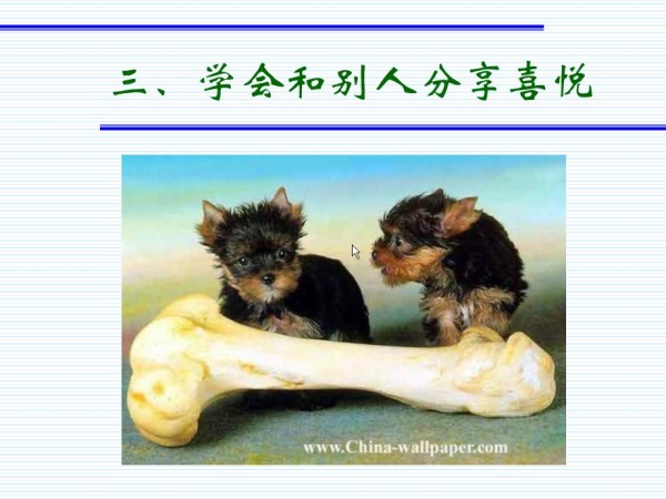 快乐的19种技巧.ppt_第4页