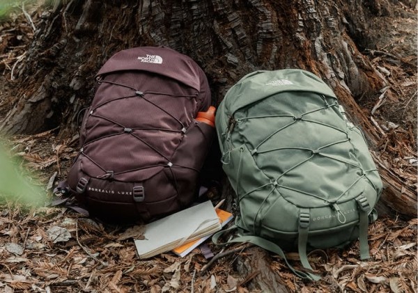 A purple and a green Borealis leaning against a tree.
