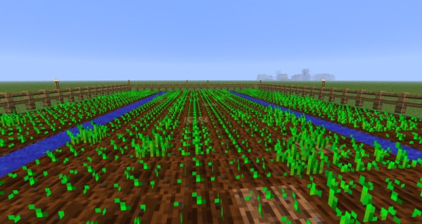 种植农作物 种植教程与注意事项