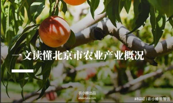 北京市主要农作物种植情况综述。