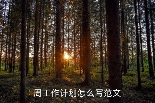 周工作计划怎么写范文