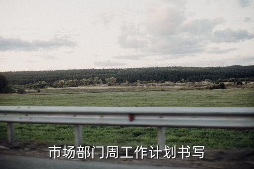 市场部门周工作计划书写
