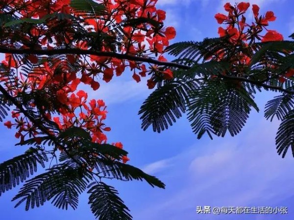 让自己快乐的15个方法