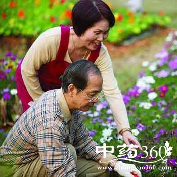 老年人如何养生,老年人养生的六大乐趣