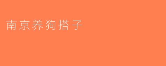 南京养狗搭子