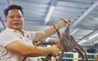 黄沙水产中心开业，广州人的海鲜新地标来了