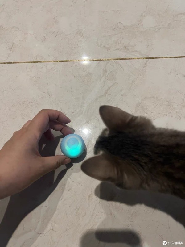 逗猫智能球:现代科技与传统宠物乐趣的完美结合