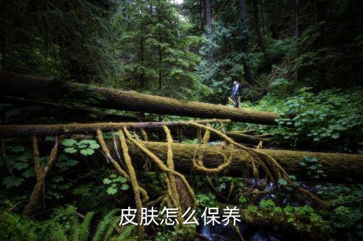 皮肤怎么保养