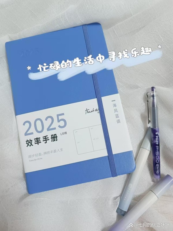 2025年J人养成计划，从这本效率笔记开始！