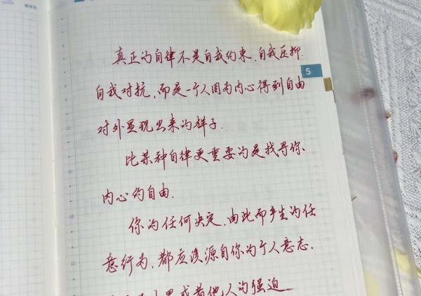 尊重内心:记录手帐,探寻自由之上的自律