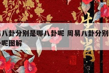 周易八卦分别是哪八卦呢 周易八卦分别是哪八卦呢图解