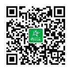 KB（人口腔表皮样癌细胞 ）