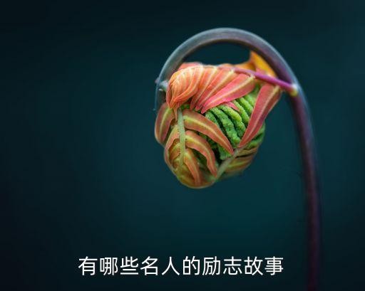 有哪些名人的励志故事