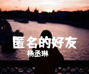 杨丞琳《匿名的好友》C调吉他谱