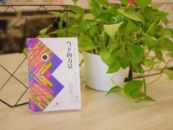 益心领读——解忧良药——《当下的力量》