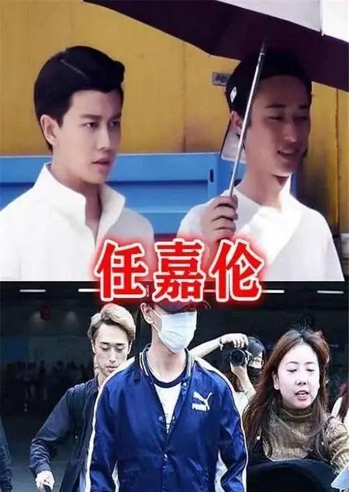明星助理揭秘：从蔡徐坤到宋威龙的多样风采