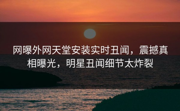 网曝外网天堂安装实时丑闻，震撼真相曝光，明星丑闻细节太炸裂
