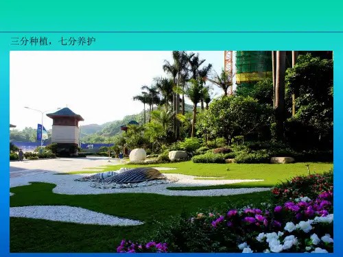 园林绿化日常养护指导PPT课件