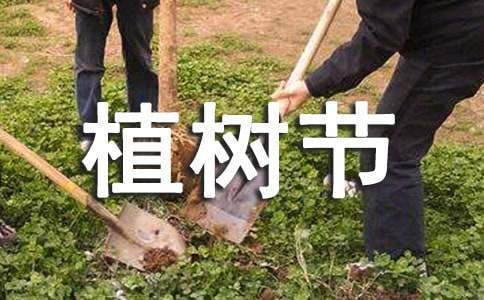 植树节环保教育教案（精选10篇）