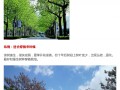 关于行道树，园林绿化专业知识