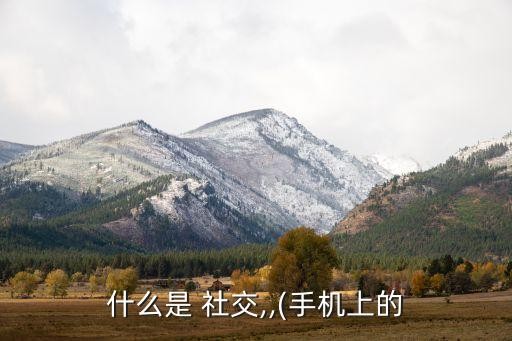 什么是 社交,,(手机上的