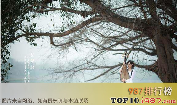 十大纯音乐前十名之《琵琶语》