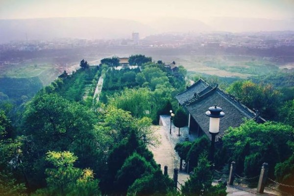 50多个森林旅游项目总结出的10点感悟！