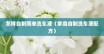 怎样自制简单洗车液（家庭自制洗车液配方）