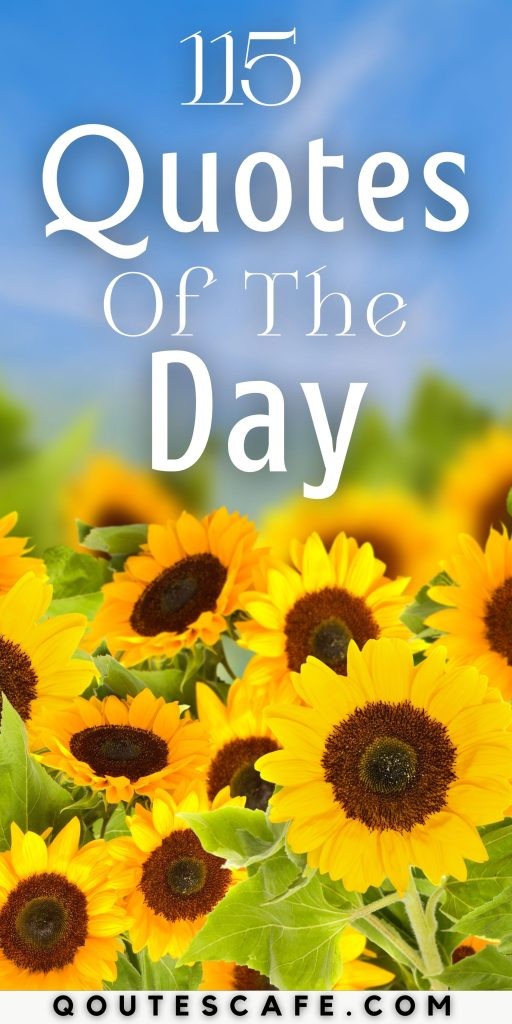 Quotes Of The Day