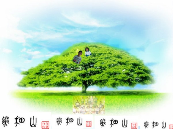 小学生低碳环保知识竞赛试题及答卷