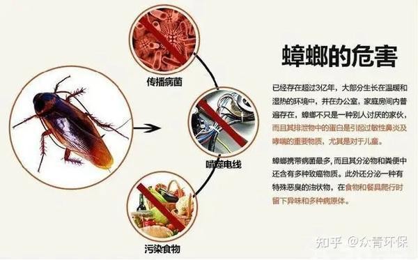 怎样才能防止蟑螂进入电脑主机