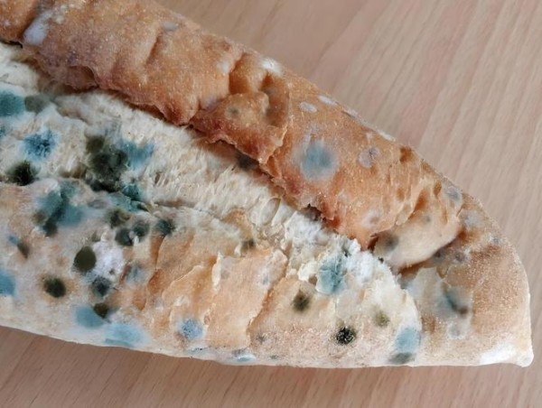 从外观到口感：食物变质信号全解析