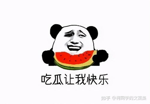 娱乐吃瓜酱不好意思,揭秘幕后真相与八卦传闻 第2张