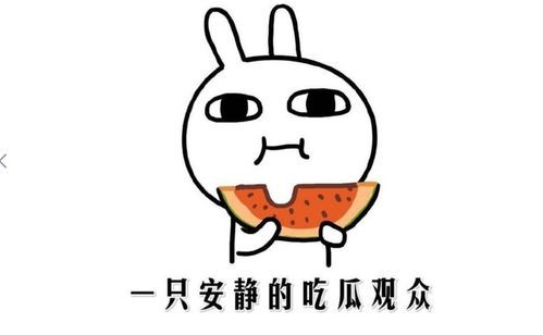 娱乐吃瓜酱不好意思,揭秘幕后真相与八卦传闻 第3张
