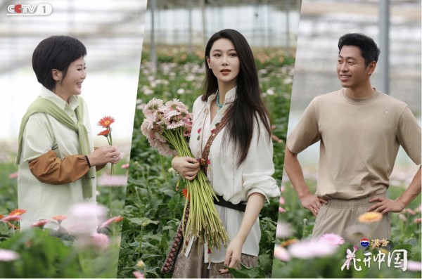 滇南花开红河岸，探寻“一朵花”的中国式浪漫