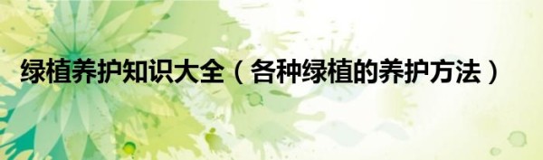 绿植养护知识大全（各种绿植的养护方法）