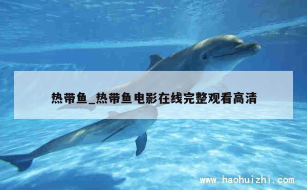 热带鱼_热带鱼电影在线完整观看高清 第1张