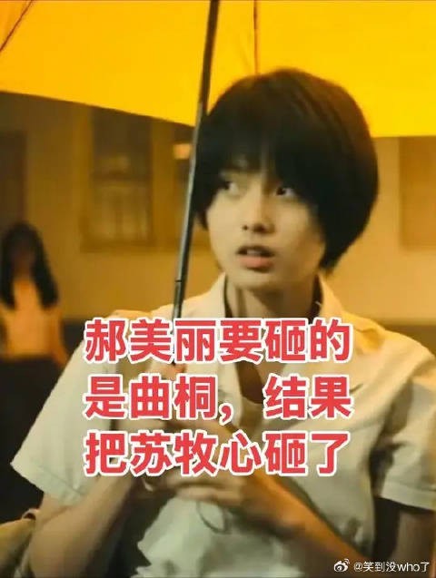 郝美丽误砸苏牧心致其失明，苏牧凡顶替弟弟人生