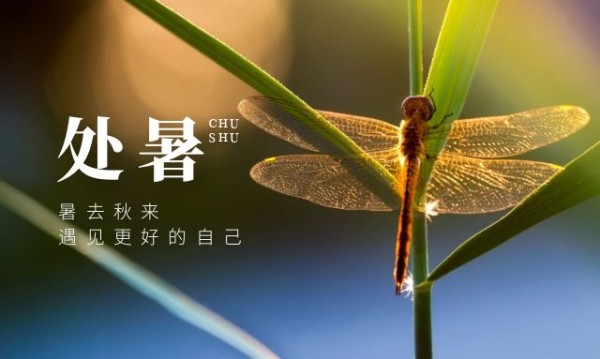 100句值得收藏的处暑文案