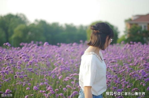 拍照摄影技巧口诀