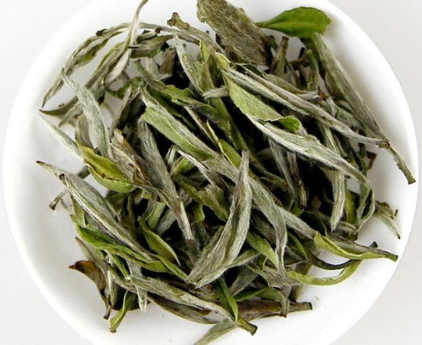 白茶适合什么季节喝，白茶哪个季节适合喝