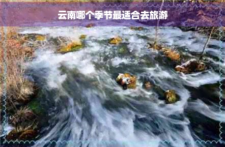 云南哪个季节最适合去旅游