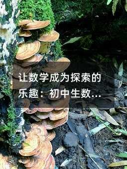 让数学成为探索的乐趣：初中生数学补习的智慧与方法