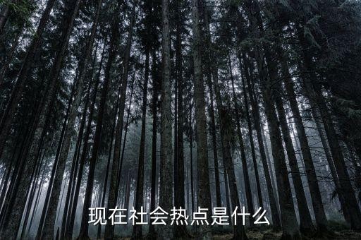 现在社会热点是什么